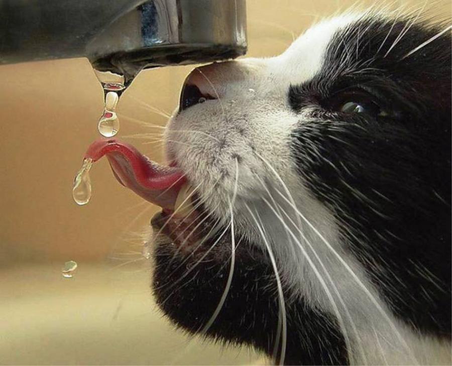 法甲：巴黎持续高歌猛进，3-0完胜南特，法甲巴黎队