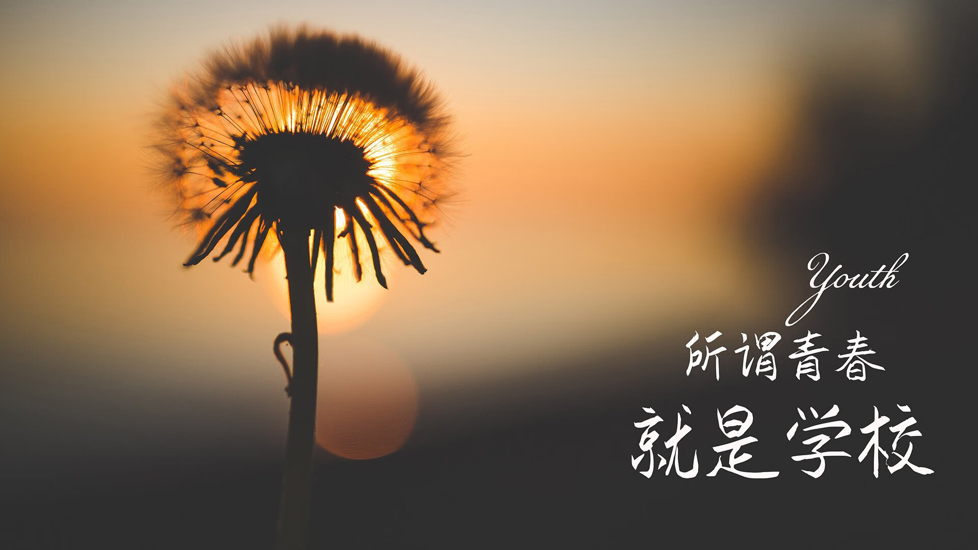 皇家马德里对阵切尔西，强强对话谁会称霸？，皇家马德里vs切尔西比赛时间