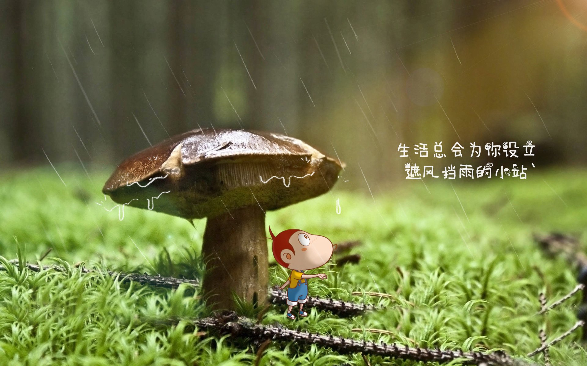 海湾者队员保持积极心态面对压力