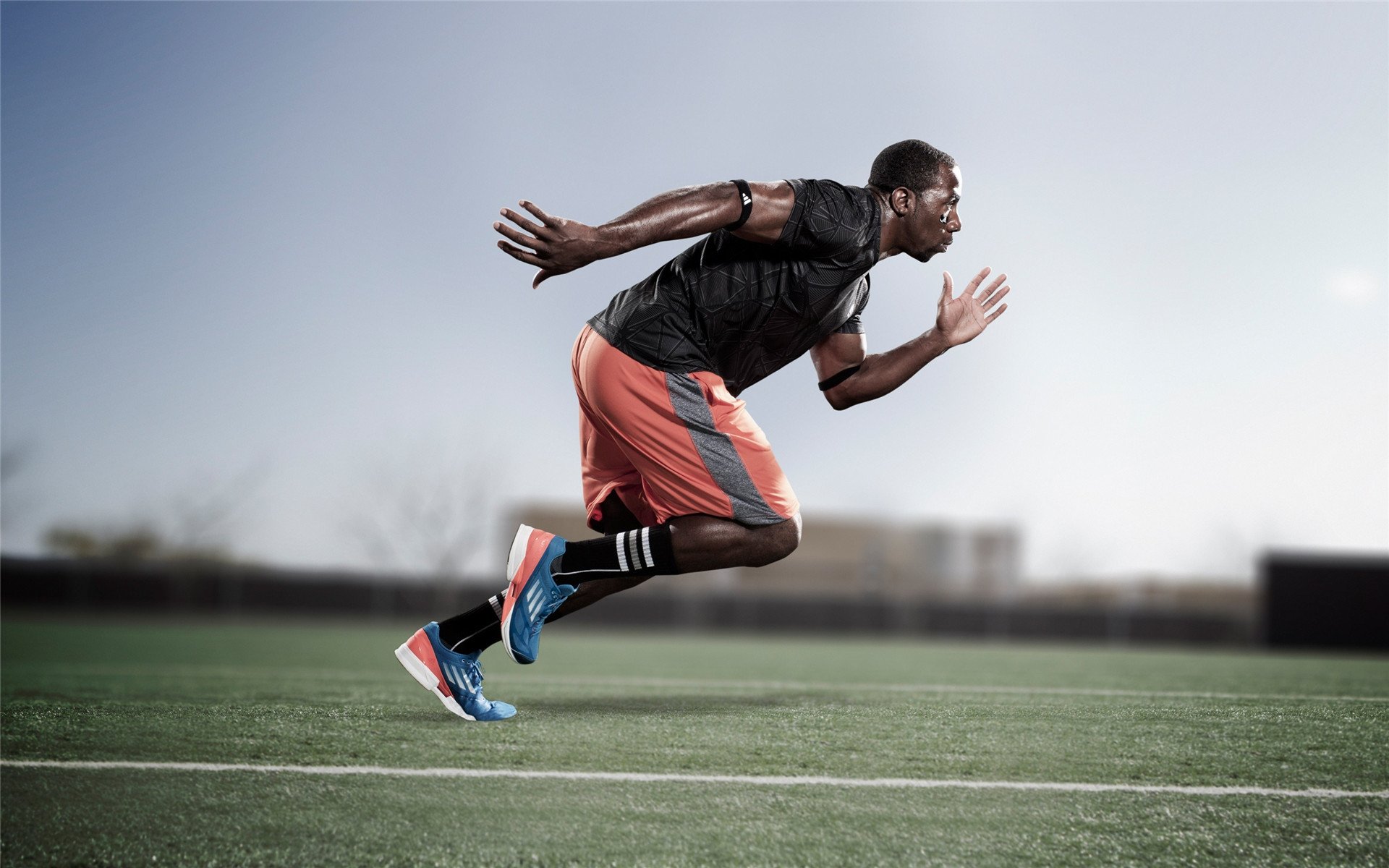 “高新体育中心武术比赛:看选手如何在短短数秒间决胜负”