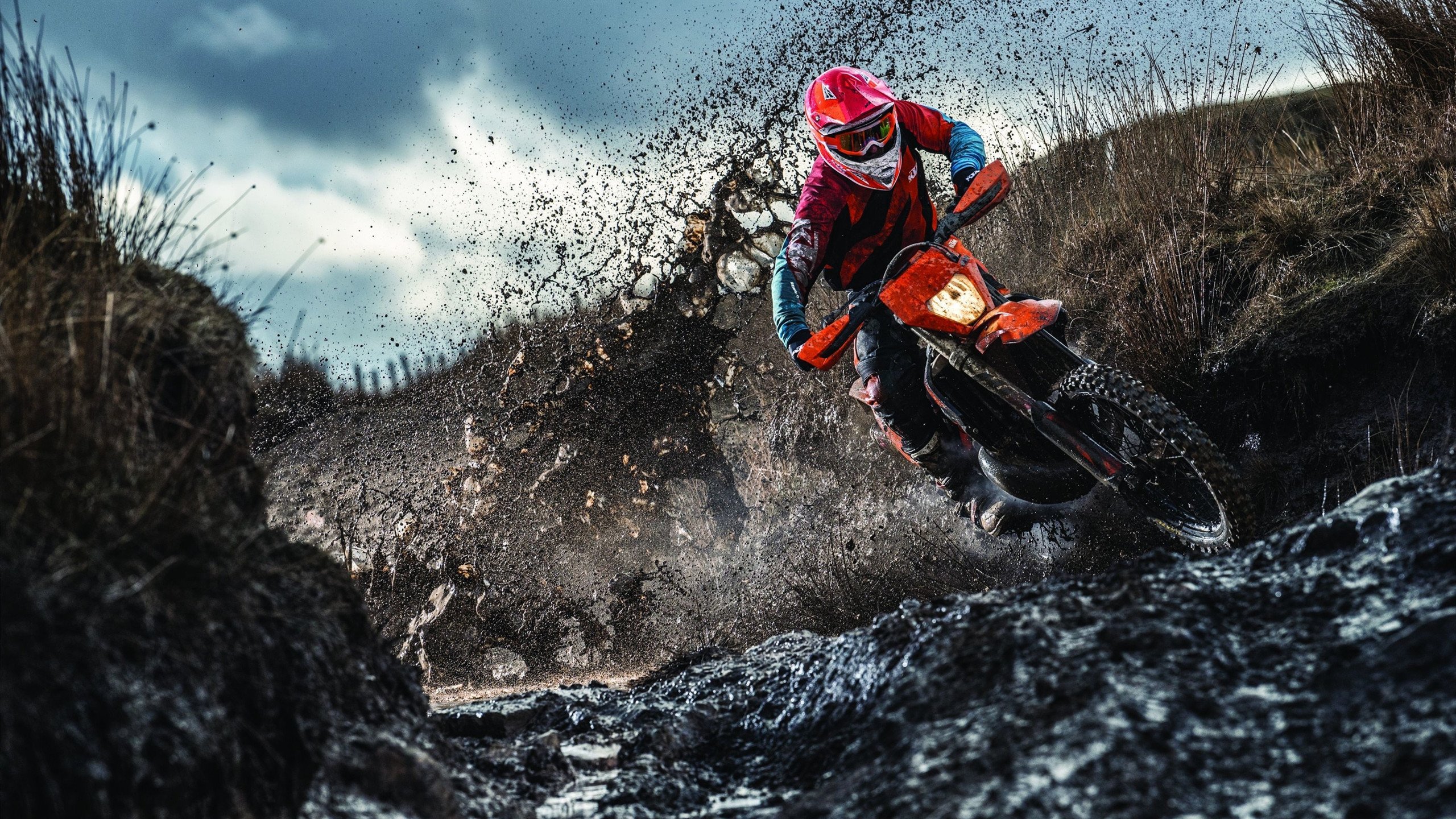 血脉相传:车手家族的世代传奇,车手jason